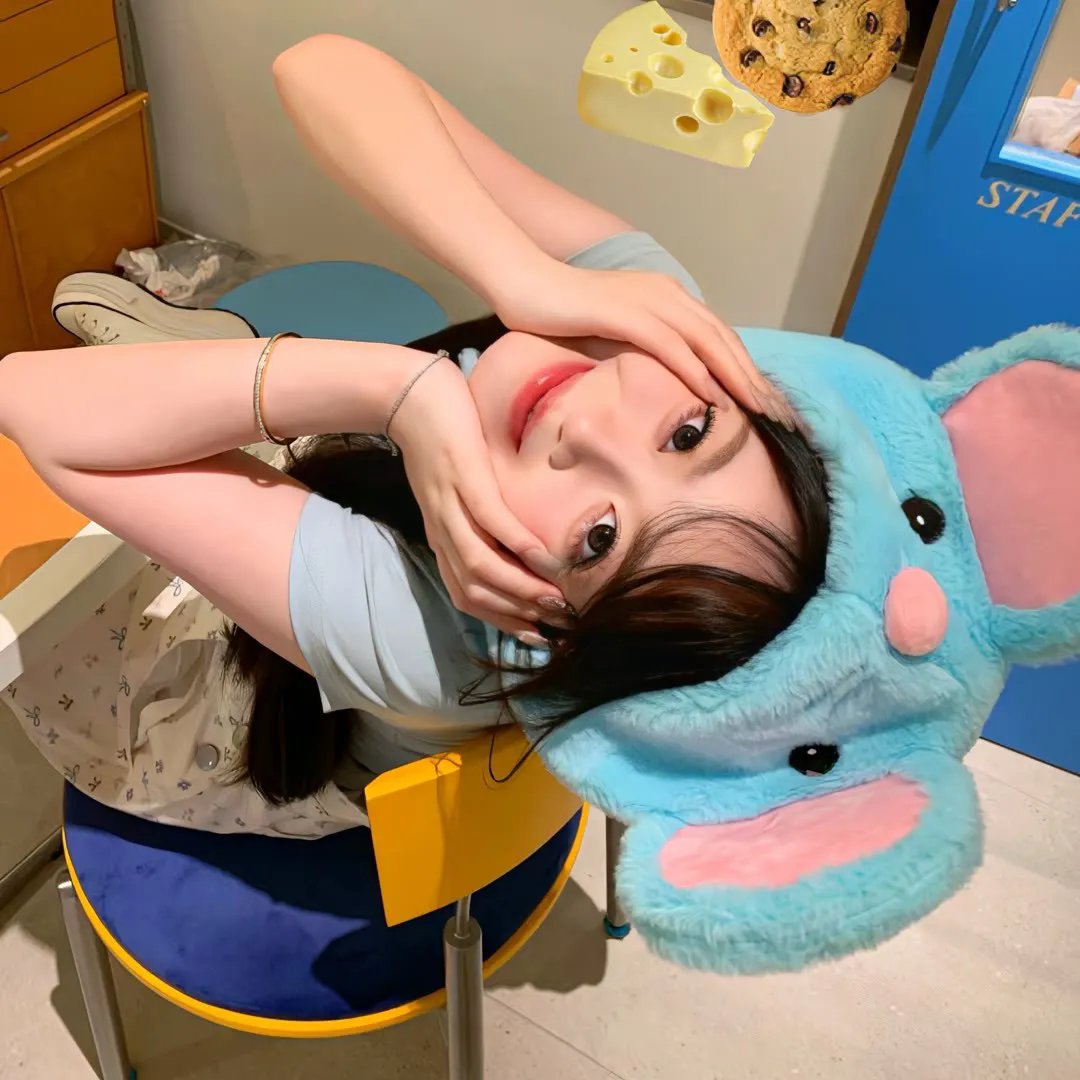 海鸥食堂