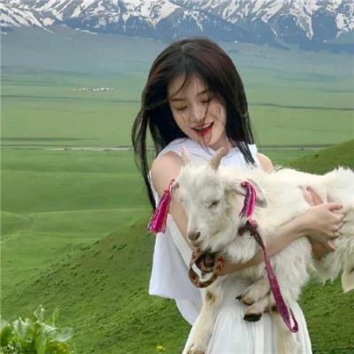 来自收容所的爱
